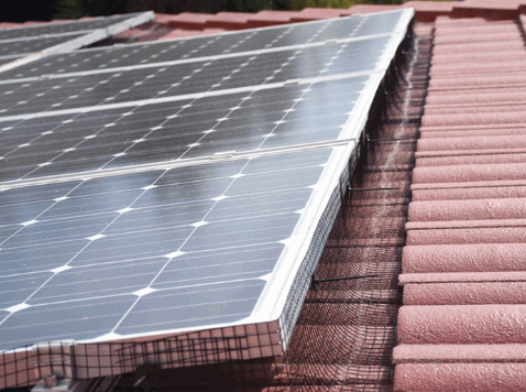 How Much Does It Cost To Pigeon Proof Solar Panels