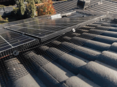 How To Pigeon Proof Solar Panels